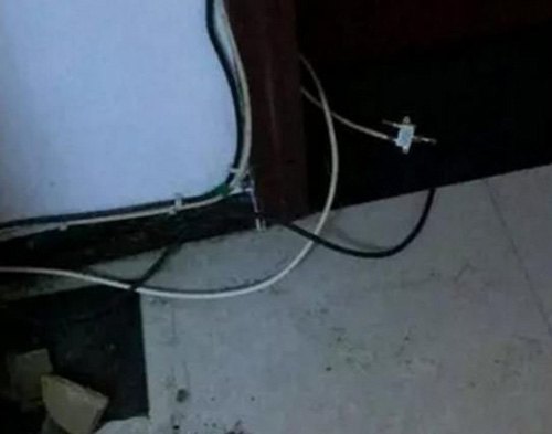 二哈拆家咬到電線，成果被電到炸毛，主人笑翻：小家伙長(zhǎng)的真共同
